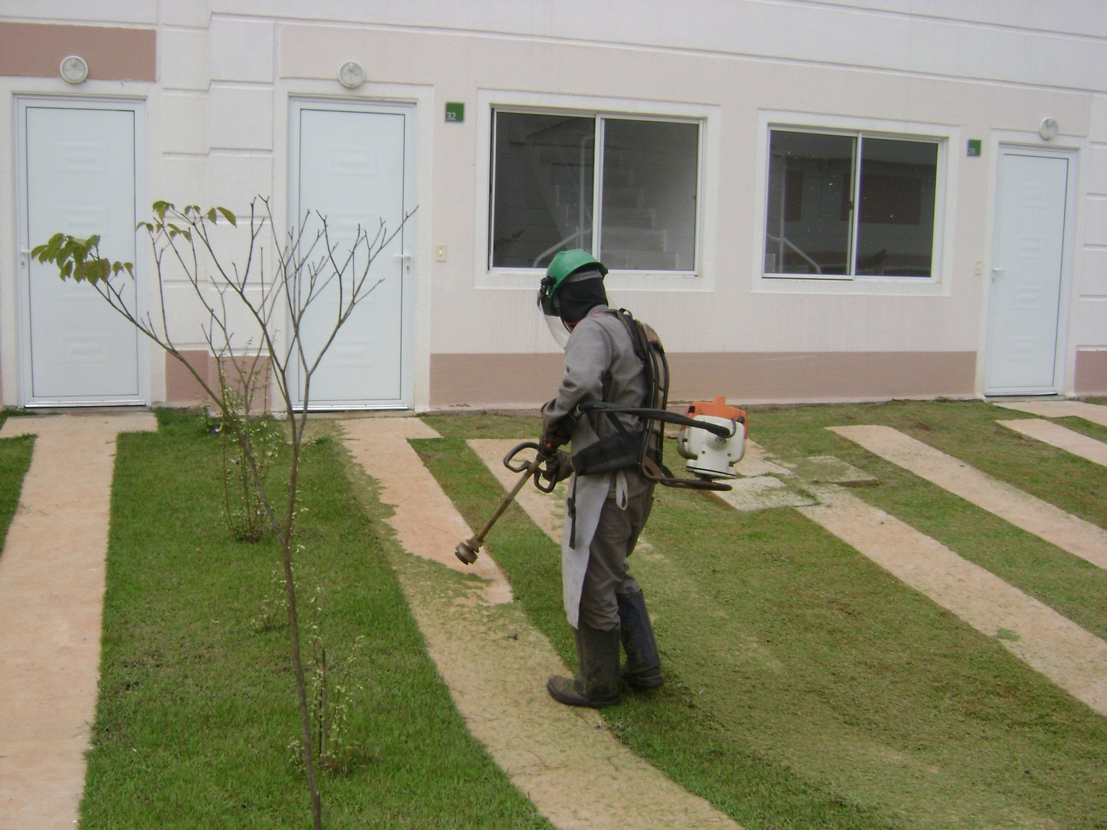 Jardim bem cuidado com plantas e flores